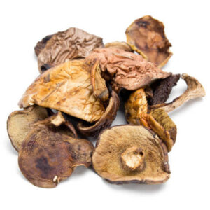 Dry Mushrooms