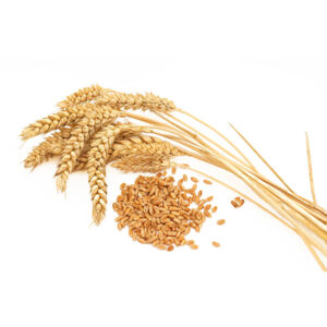 Rice & Grains